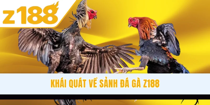 Khái quát về sảnh đá gà Z188