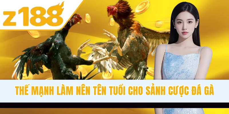 Thế mạnh làm nên tên tuổi cho sảnh cược đá gà